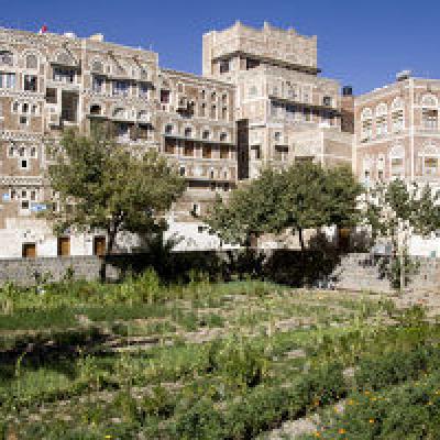 Vegetable Garden Old Town Sanaa 12015186